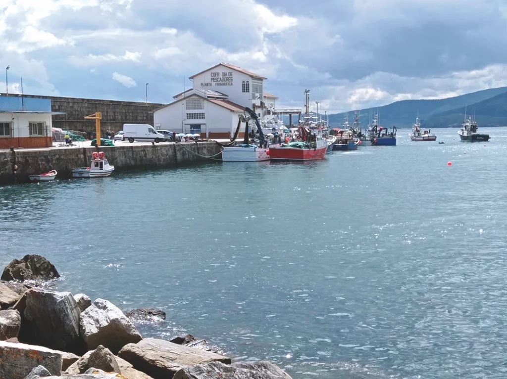 25.embarcacións De Pesca No Porto De Malpica De Bergantiños