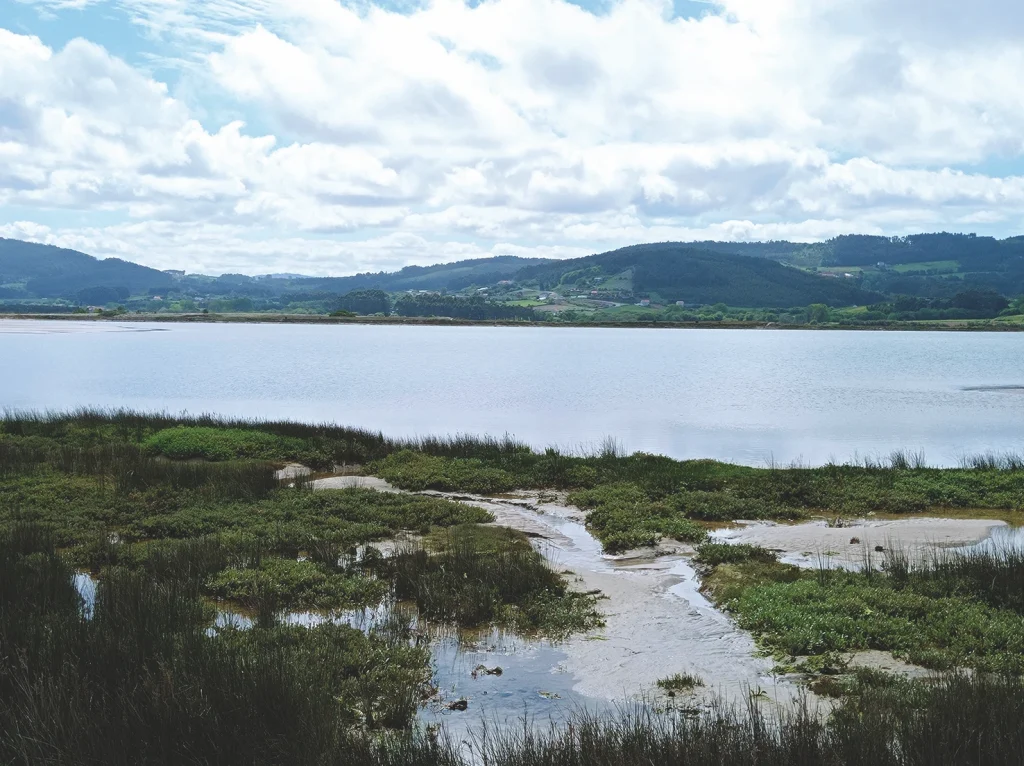 150. Marisma E Lagoa De Baldaio