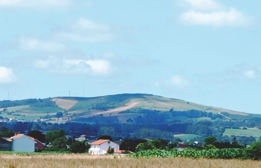 17. Monte Aro Desde San Cosme De Antes