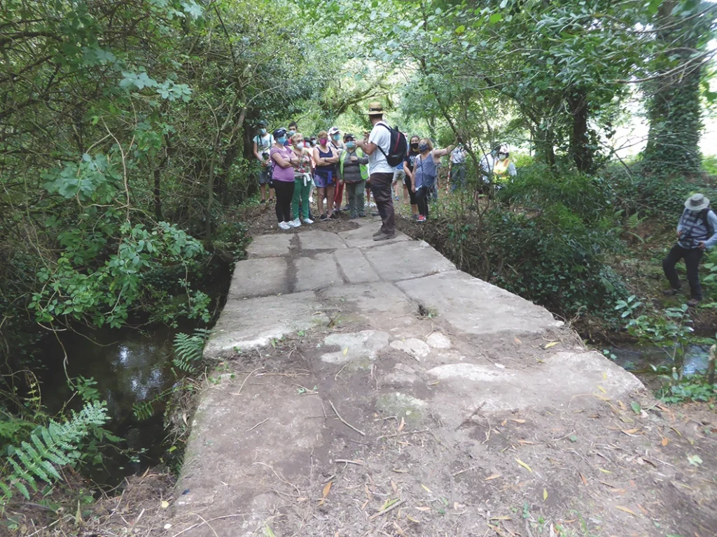 183. Ruta Do Vieiro Fidalgo Pola Parroquia De Berdoias.