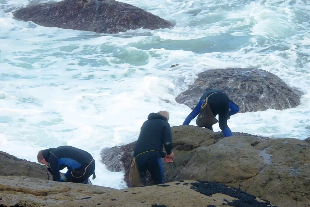 64. Os Percebeiros Enfróntanse Cada Día De Traballo A Un Mar Bravo